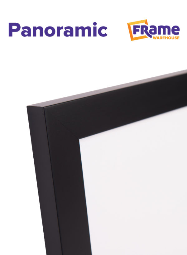 Black Mid Panoramic Frame for a 22 x 11" Image