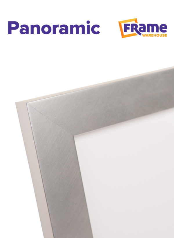 Brushed Silver Mid Panoramic Frame for a 1000 x 250mm Image